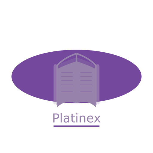 Логотип Platinex